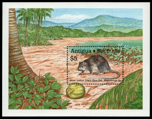 Antigua 1989 - Mi-Nr. Block 164 ** - MNH - Wildtiere / Wild animals