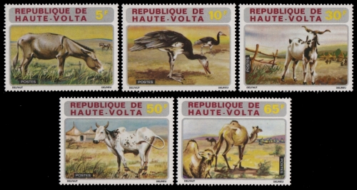 Obervolta 1972 - Mi-Nr. 405-409 ** - MNH - Bauernhoftiere / Farm animals