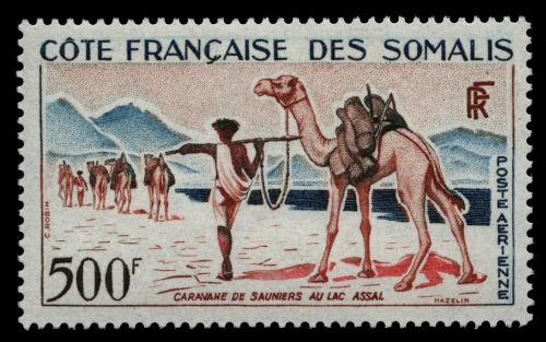 Französische Somaliküste 1962 - Mi-Nr. 334 ** - MNH - Kamel / Camel