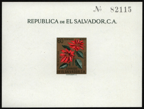 El Salvador 1960 - Mi-Nr. Block 7 ** - MNH - Blumen / Flowers