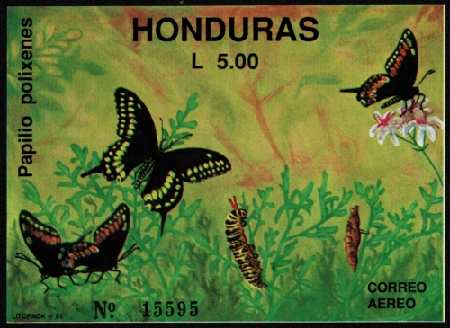Honduras 1991 - Mi-Nr. Block 47 ** - MNH - Schmetterlinge / Butterflies