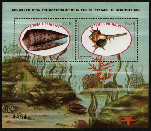 São Tomé & Príncipe 1981 - Mi-Nr. Block 56 ** - MNH - Meeresschnecken