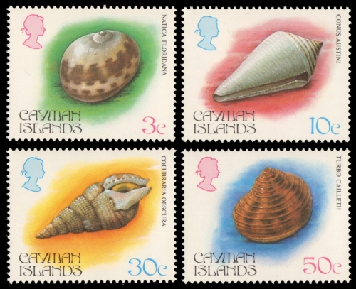Kaiman-Inseln 1984 - Mi-Nr. 522-525 ** - MNH - Meeresschnecken / Marine snails