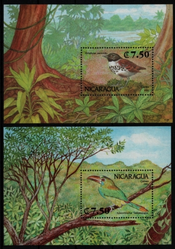 Nicaragua 1991 - Mi-Nr. Block 195-196 ** - MNH - Vögel / Birds