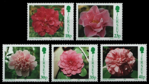 Jersey 1995 - Mi-Nr. 688-692 ** - MNH - Blumen / Flowers
