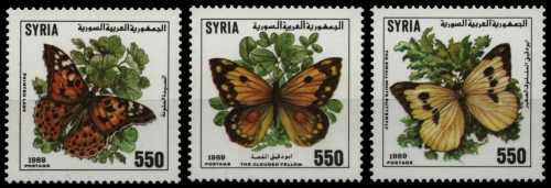 Syrien 1989 - Mi-Nr. 1758-1760 ** - MNH - Schmetterlinge / Butterflies