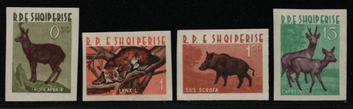 Albanien 1962 - Mi-Nr. 704-707 ** - MNH - Wildtiere / Wild animals (I)