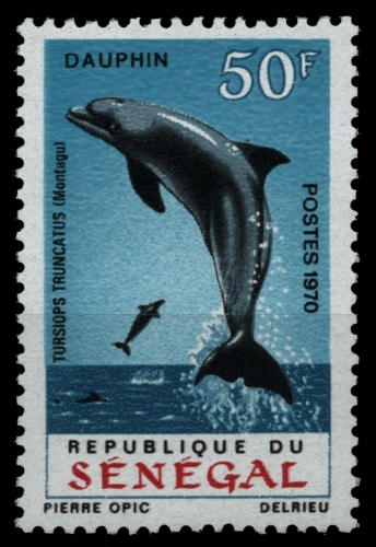 Senegal 1970 - Mi-Nr. 416 ** - MNH - Delphine / Dolphins
