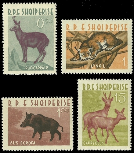 Albanien 1962 - Mi-Nr. 699-702 ** - MNH - Wildtiere / Wild animals