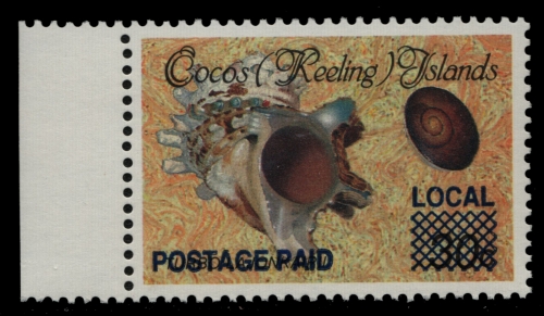 Kokos-Inseln 1991 - Mi-Nr. 241 ** - MNH - Meeresschnecken / Marine snails