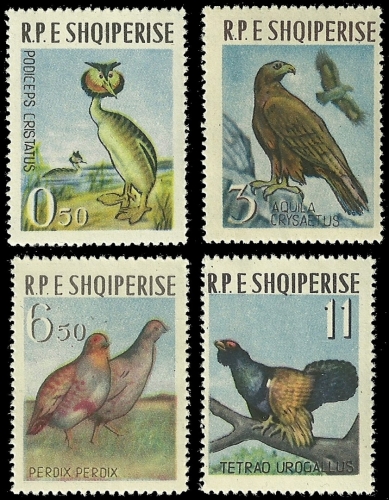 Albanien 1963 - Mi-Nr. 741-744 ** - MNH - Vögel / Birds