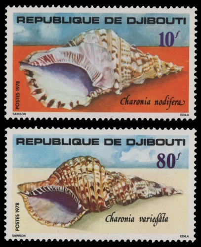Dschibuti 1978 - Mi-Nr. 229-230 ** - MNH - Meeresschnecken / Marine snails