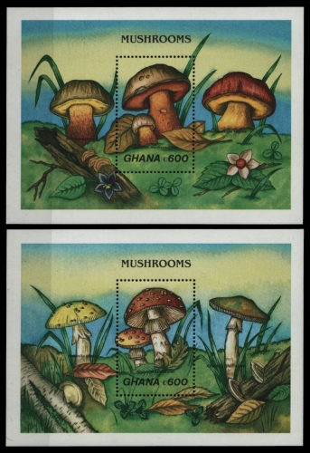 Ghana 1989 - Mi-Nr. Block 145-146 ** - MNH - Pilze / Mushrooms