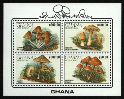 Ghana 1990 - Mi-Nr. Block 165 ** - MNH - Pilze / Mushrooms