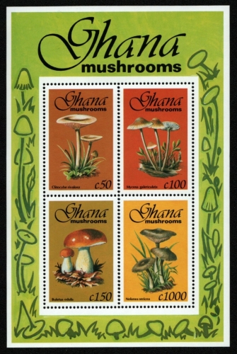 Ghana 1993 - Mi-Nr. Block 231 ** - MNH - Pilze / Mushrooms