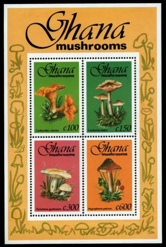 Ghana 1993 - Mi-Nr. Block 232 ** - MNH - Pilze / Mushrooms
