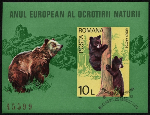 Rumänien 1980 - Mi-Nr. Block 168 gest / used - Europa - Naturschutz