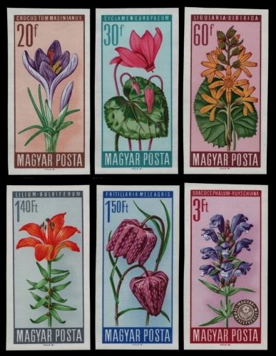 Ungarn 1966 - Mi-Nr. 2212-2217 B ** - MNH - Blumen / Flowers