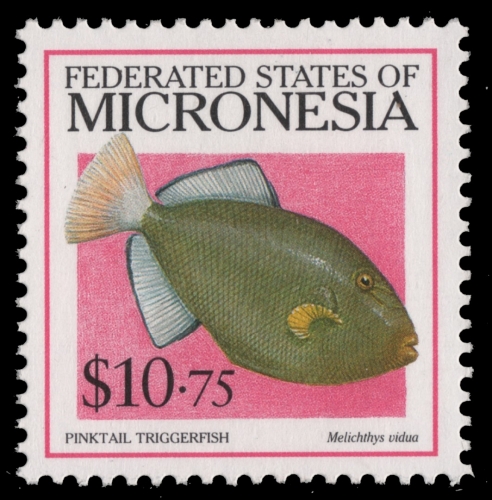 Mikronesien 1998 - Mi-Nr. 670 ** - MNH - Fische / Fish