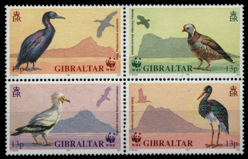 Gibraltar 1991 - Mi-Nr. 619-622 ** - MNH - Vögel / Birds