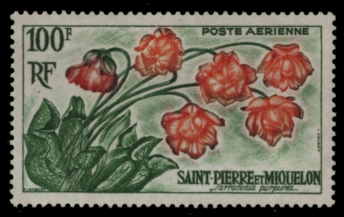 St. Pierre & Miquelon 1962 - Mi-Nr. 393 ** - MNH - Blumen / Flowers