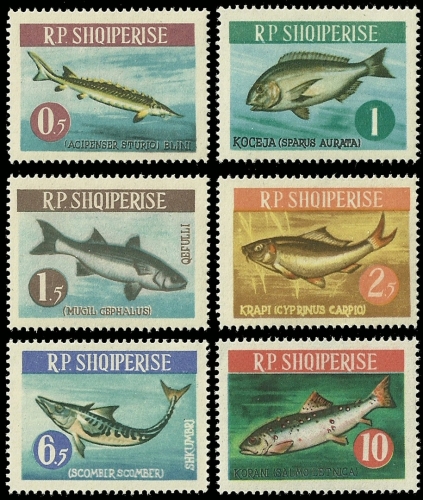 Albanien 1964 - Mi-Nr. 809-814 ** - MNH - Fische / Fish