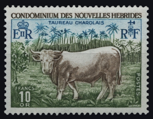 Neue Hebriden 1975 - Mi-Nr. 406 ** - MNH - Charolais Bulle
