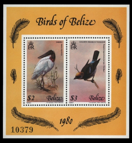Belize 1980 - Mi-Nr. Block 19 ** - MNH - Vögel / Birds