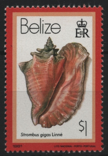 Belize 1981 - Mi-Nr. 467 II ** - MNH - Meeresschnecken / Marine snail