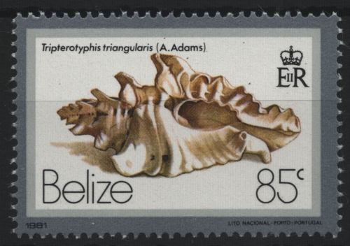 Belize 1981 - Mi-Nr. 466 II ** - MNH - Meeresschnecken / Marine snail