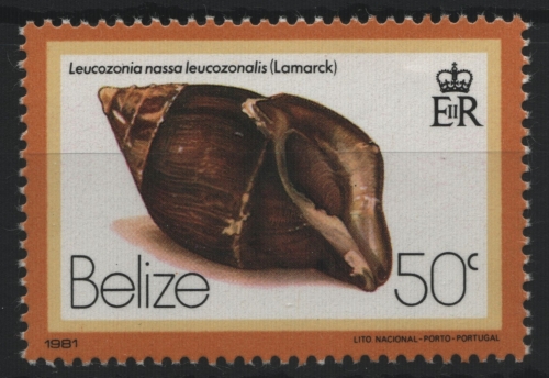 Belize 1981 - Mi-Nr. 465 II ** - MNH - Meeresschnecken / Marine snail