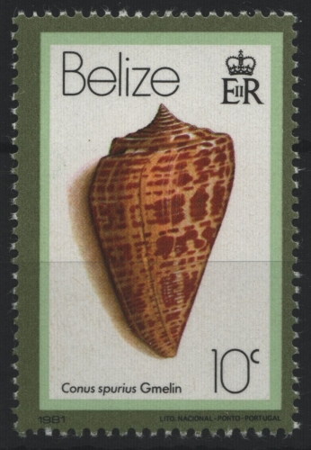 Belize 1981 - Mi-Nr. 459 II ** - MNH - Meeresschnecken / Marine snail