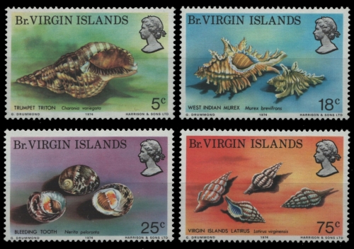 Jungferninseln 1974 - Mi-Nr. 274-277 ** - MNH - Meeresschnecken / Marine snails