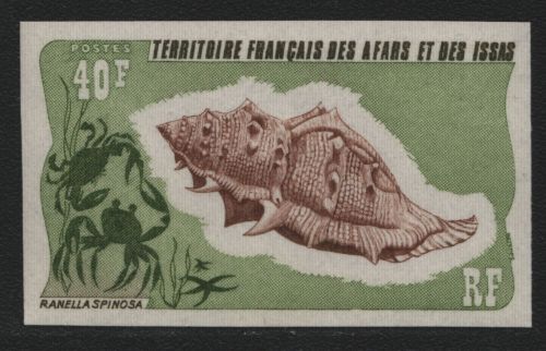 Afar und Issa 1975 - Mi-Nr. 117 ** - MNH - ungezähnt - Meeresschnecken
