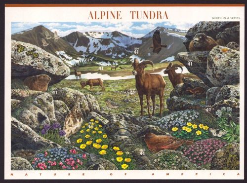 USA 2007 - Mi-Nr. 4301-4310 ** - MNH - Folienblatt - Fauna & Flora