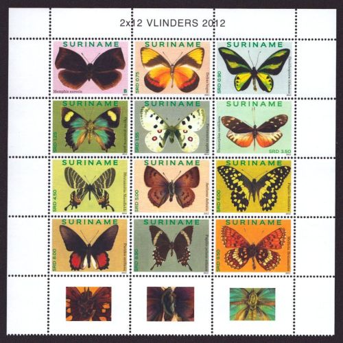 Surinam 2012 - Mi-Nr. 2539-2550 ** - MNH - Schmetterlinge / Butterflies