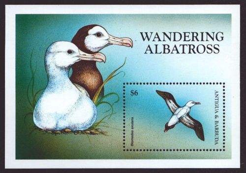 Antigua 1998 - Mi-Nr. Block 412 ** - MNH - Vögel / Birds