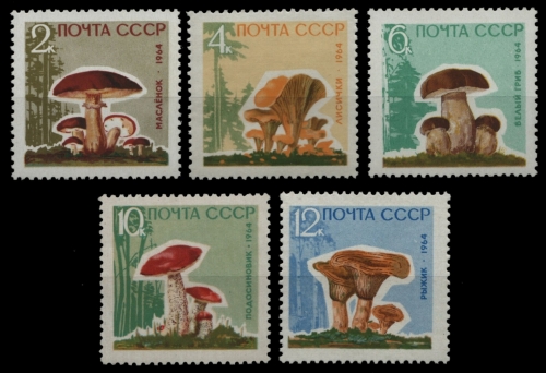 Russia / Sowjetunion 1964 - Mi-Nr. 2983-2987 y ** - MNH - Pilze - Bitte lesen