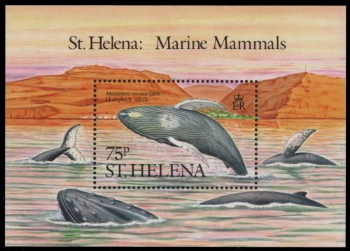 St. Helena 1987 - Mi-Nr. Block 8 ** - MNH - Wale / Whales