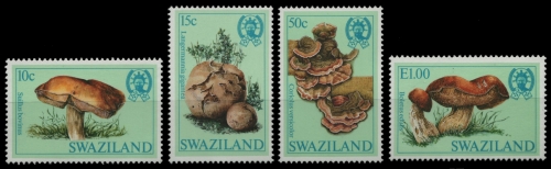 Swaziland 1984 - Mi-Nr. 462-465 ** - MNH - Pilze / Mushrooms