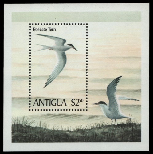 Antigua 1980 - Mi-Nr. Block 51 ** - MNH - Vögel / Birds