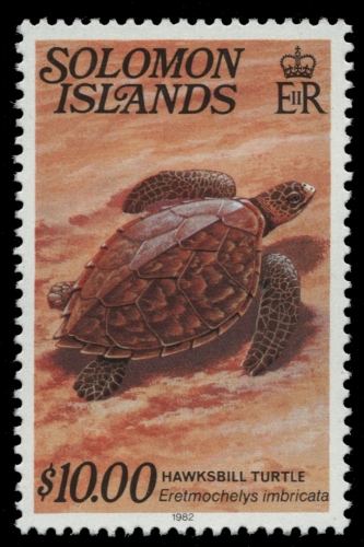 Salomoninseln 1982 - Mi-Nr. 470 ** - MNH - Schildkröte / Turtle