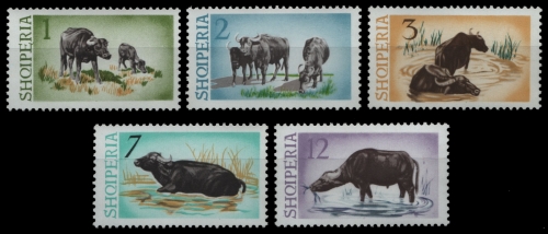 Albanien 1965 - Mi-Nr. 921-925 ** - MNH - Wasserbüffel