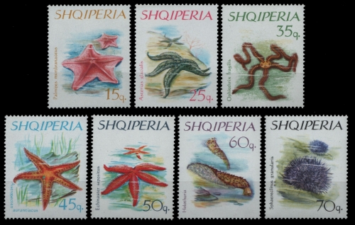 Albanien 1966 - Mi-Nr. 1060-1066 ** - MNH - Meerestiere / Marine life