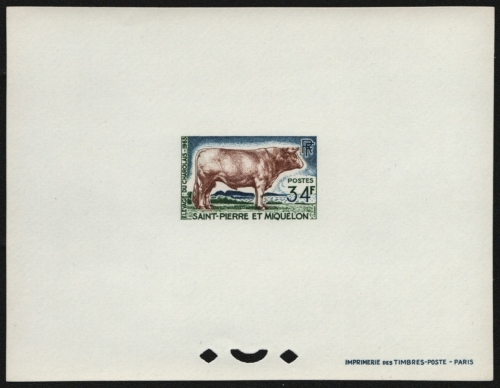 St. Pierre & Miquelon 1964 - Mi-Nr. 411 ** - MNH - Epreuve de Luxe - Stier