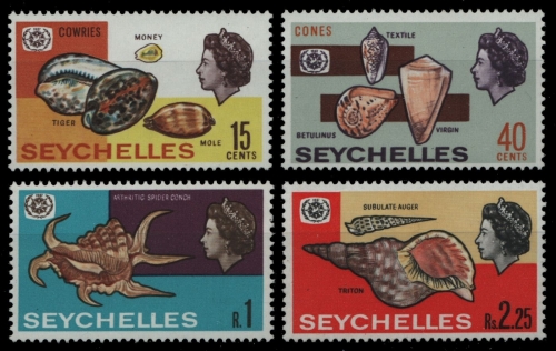 Seychellen 1967 - Mi-Nr. 239-242 ** - MNH - Meeresschnecken / Marine snails