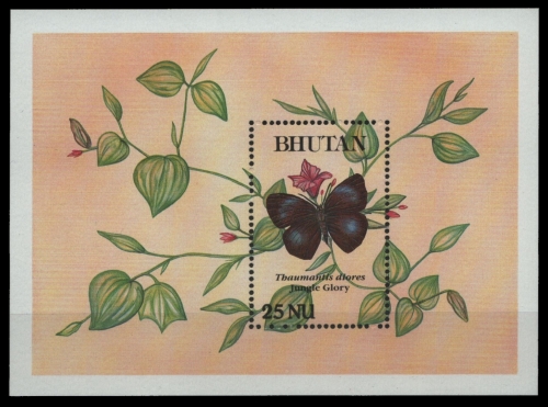 Bhutan 1990 - Mi-Nr. Block 246 ** - MNH - Schmetterlinge / Butterflies