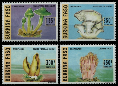 Burkina Faso 1996 - Mi-Nr. 1380-1383 A ** - MNH - Pilze / Mushrooms