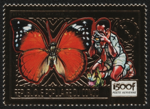 Kongo-Brazzaville 1991 - Mi-Nr. 1249 A ** - MNH - Gold - Schmetterlinge
