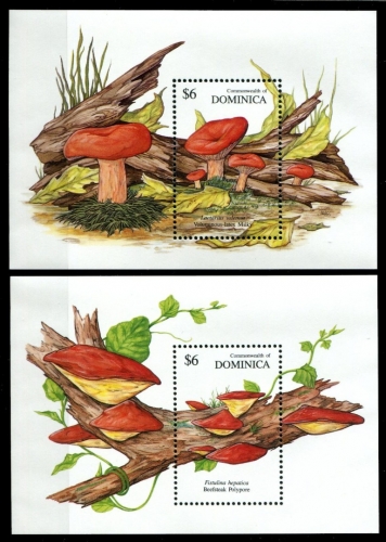 Dominica 1991 - Mi-Nr. Block 182-183 ** - MNH - Pilze / Mushrooms